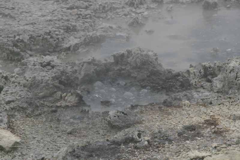 Nieuw-Zeeland 2011 - 0586